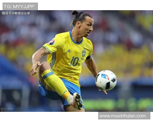 足球明星精彩瞬间挂布图片展示让您感受绿茵场上的激情与荣耀